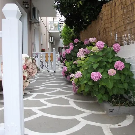 Napoleon 2* سكالا سوتيروس